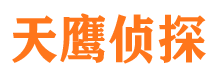 雁山侦探公司